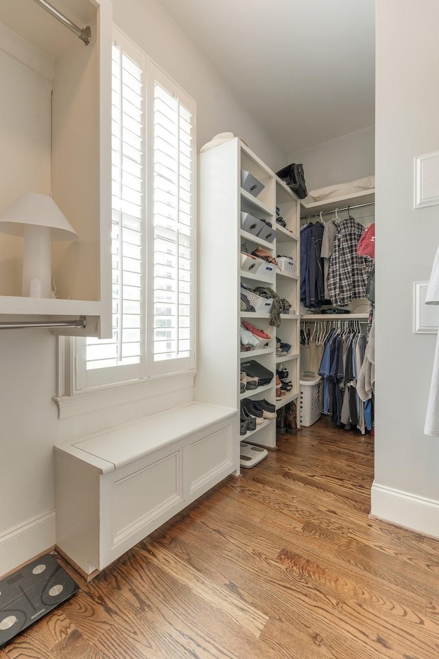 1202 Jewell Ave, Franklin, TN 37064 - spacious closet featuring light wood-style floors