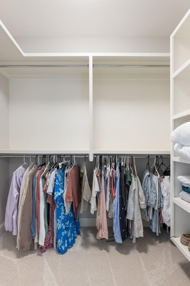 1202 Jewell Ave, Franklin, TN 37064 - spacious closet featuring carpet floors