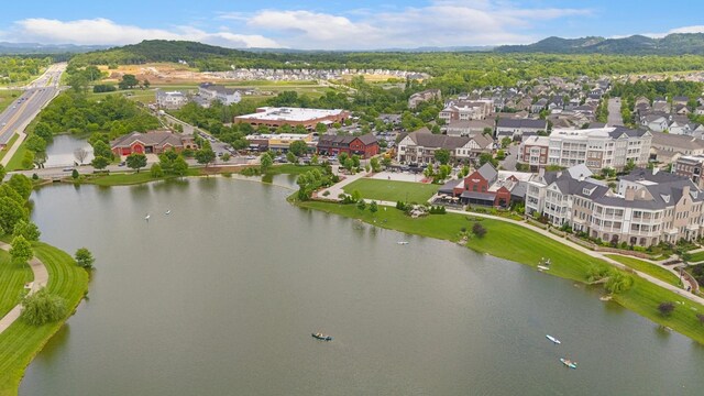 1202 Jewell Ave, Franklin, TN 37064 - bird's eye view of a water and mountain view