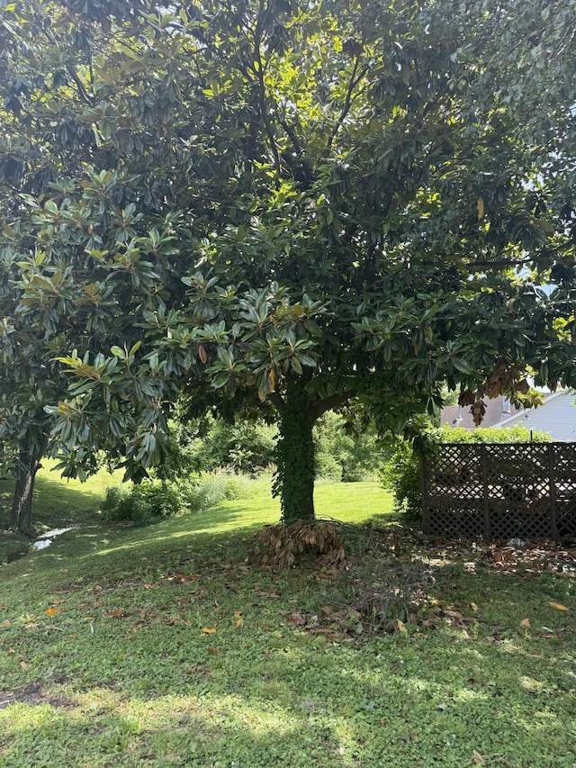 1544 Heritage View Blvd, Madison, TN 37115 - photo 8