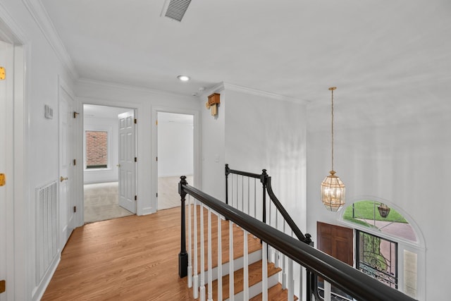 5212 Shenandoah Ct, Nashville, TN 37220 - photo 20