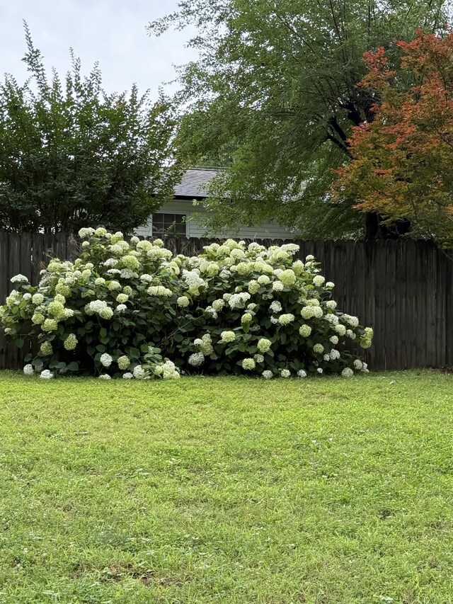 305 E Overhill Dr, Dickson, TN 37055 - view of yard
