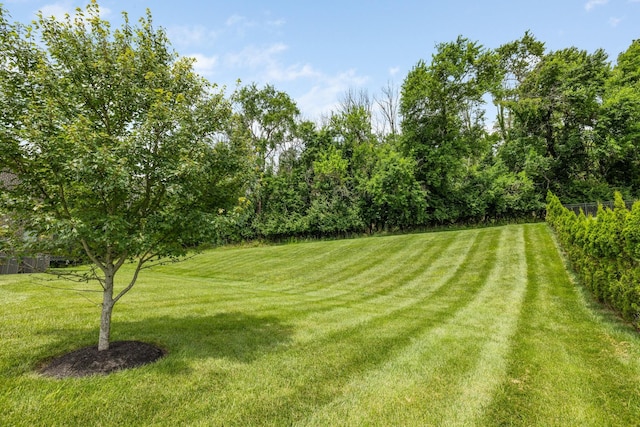 9488 Stillbrook Trce, Brentwood, TN 37027 - view of yard