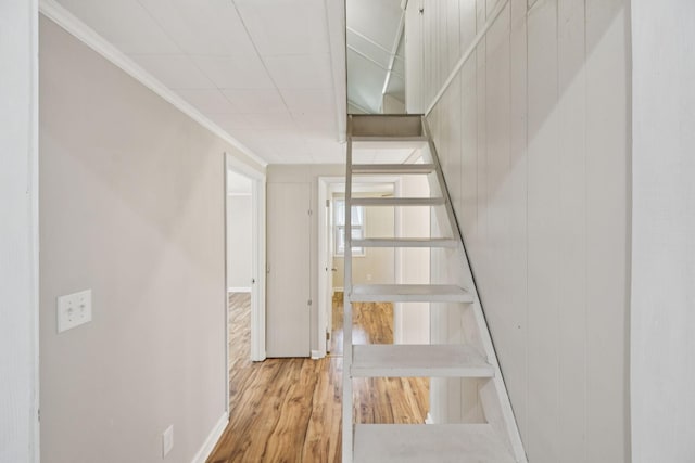 631 W Maple St, Morrison, TN 37357 - stairs featuring wood finished floors and ornamental molding