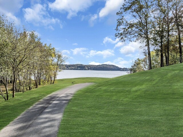 90 Bluff Point Ln, Waverly, TN 37185 - photo 43