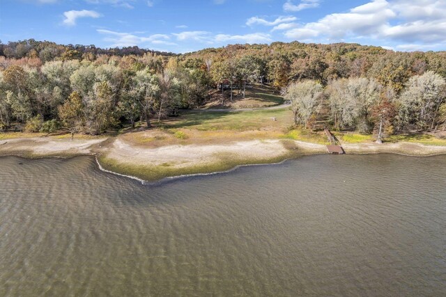90 Bluff Point Ln, Waverly, TN 37185 - photo 52