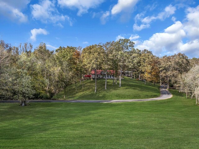 90 Bluff Point Ln, Waverly, TN 37185 - photo 50
