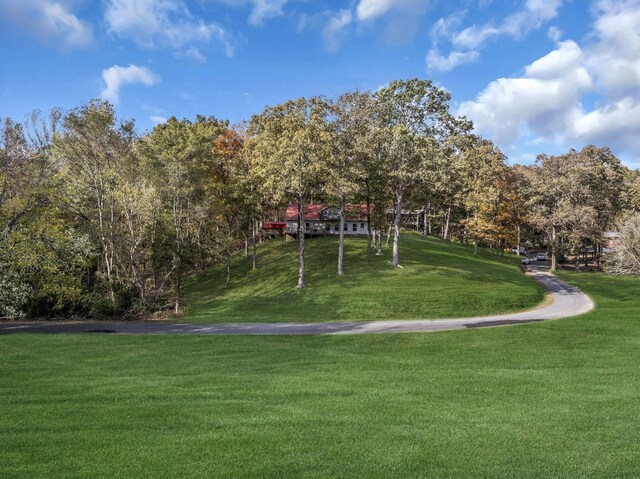 90 Bluff Point Ln, Waverly, TN 37185 - photo 40