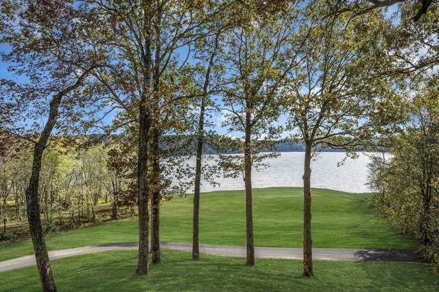 90 Bluff Point Ln, Waverly, TN 37185 - photo 39