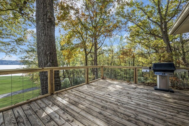 90 Bluff Point Ln, Waverly, TN 37185 - photo 45