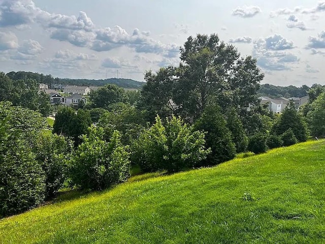 858 Longleaf Ln, Columbia, TN 38401 - view of mountain backdrop