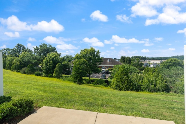 858 Longleaf Ln, Columbia, TN 38401 - view of grassy yard