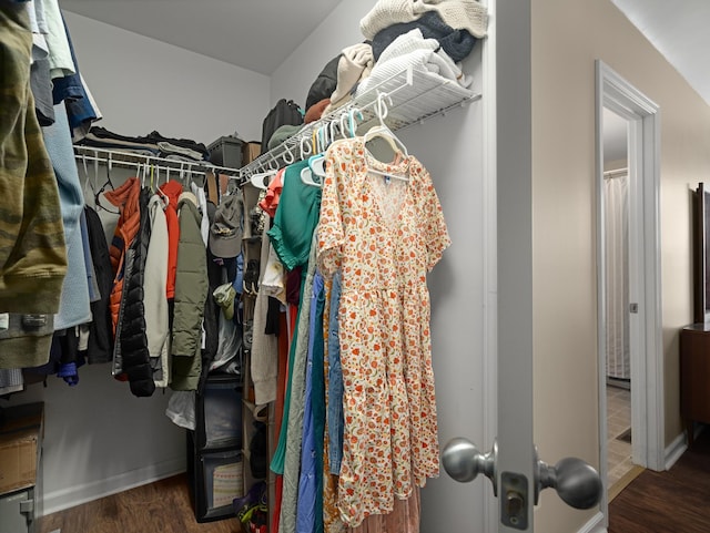 1908 Sheffield Ln, Columbia, TN 38401 - walk in closet featuring wood finished floors