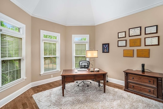 241 King Arthur Cir, Franklin, TN 37067 - home office with plenty of natural light, vaulted ceiling, dark wood-style floors, and crown molding