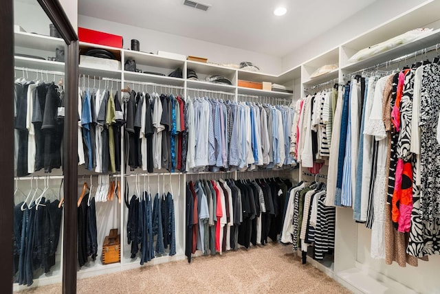 241 King Arthur Cir, Franklin, TN 37067 - walk in closet featuring carpet flooring