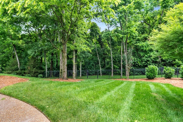 241 King Arthur Cir, Franklin, TN 37067 - view of yard