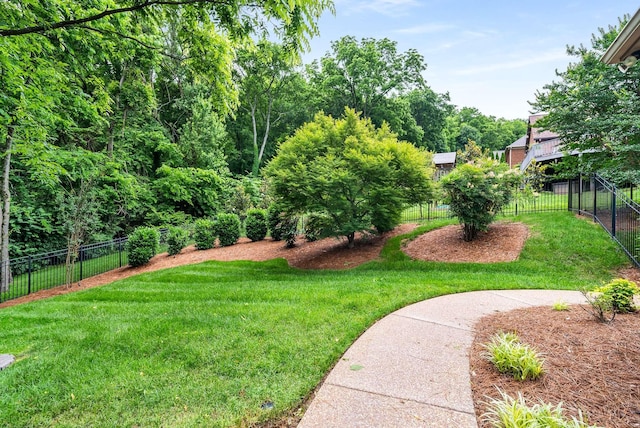 241 King Arthur Cir, Franklin, TN 37067 - view of yard