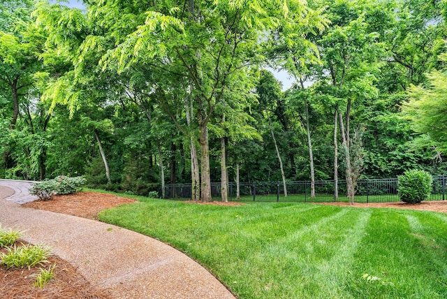 241 King Arthur Cir, Franklin, TN 37067 - view of yard