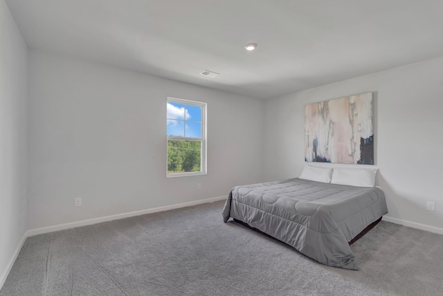 120 Millbrook Dr, Spring Hill, TN 37174 - bedroom featuring baseboards and carpet floors