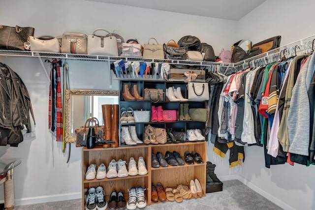 120 Millbrook Dr, Spring Hill, TN 37174 - spacious closet with carpet