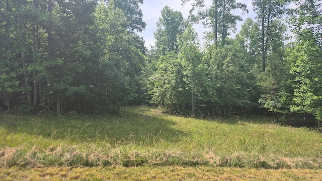 1255 Cherokee Path, Jasper, TN 37347 - photo 5