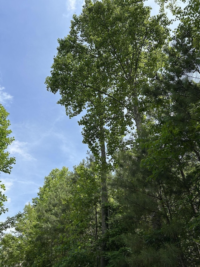 1255 Cherokee Path, Jasper, TN 37347 - photo 2