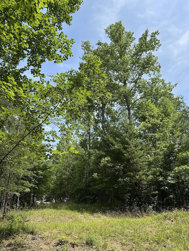 1255 Cherokee Path, Jasper, TN 37347 - photo 3