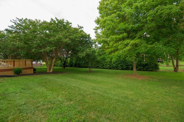 104 Steelson Ct, Murfreesboro, TN 37128 - photo 4
