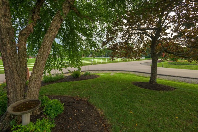 104 Steelson Ct, Murfreesboro, TN 37128 - photo 96
