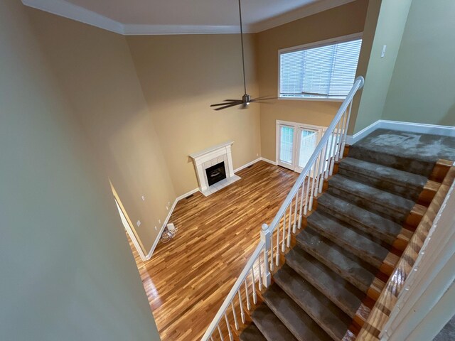 104 Steelson Ct, Murfreesboro, TN 37128 - photo 61