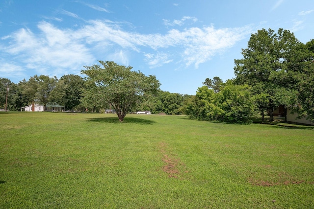 130 Church St, Tennessee Ridge, TN 37178 - photo 26