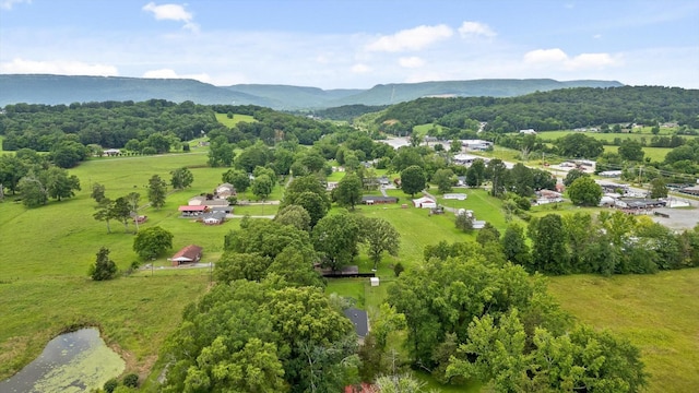 1060 Anderson Ridge Rd, Jasper, TN 37347 - bird's eye view of a mountain backdrop