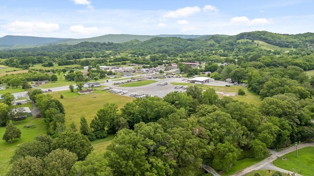 1060 Anderson Ridge Rd, Jasper, TN 37347 - drone / aerial view of mountains