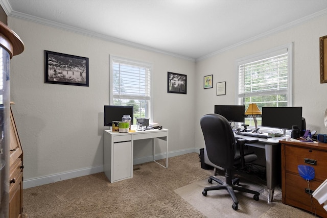 1060 Anderson Ridge Rd, Jasper, TN 37347 - carpeted office featuring ornamental molding and baseboards