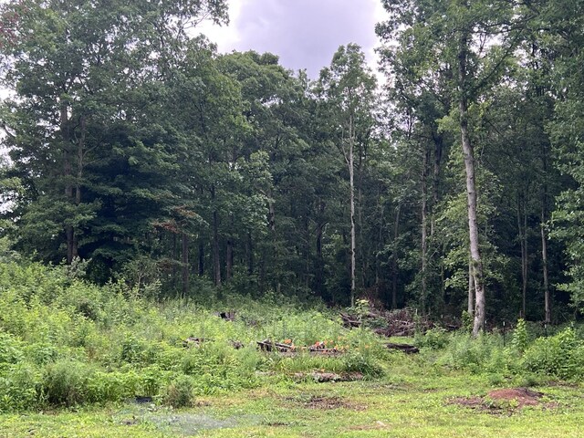 318 Old Parker Rd, Altamont, TN 37301 - photo 9