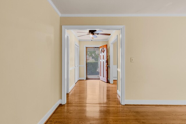 6313 Percy Dr, Nashville, TN 37205 - photo 12