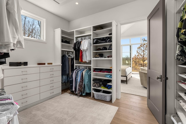 7346 Harlow Dr, College Grove, TN 37046 - walk in closet featuring light wood finished floors