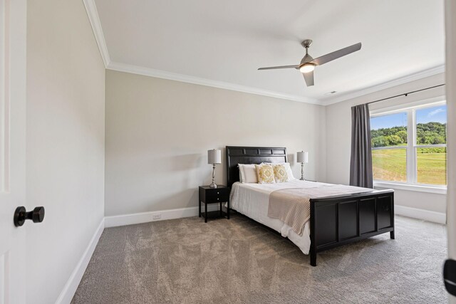 2274 Brakeman Ln, Thompsons Station, TN 37179 - photo 58