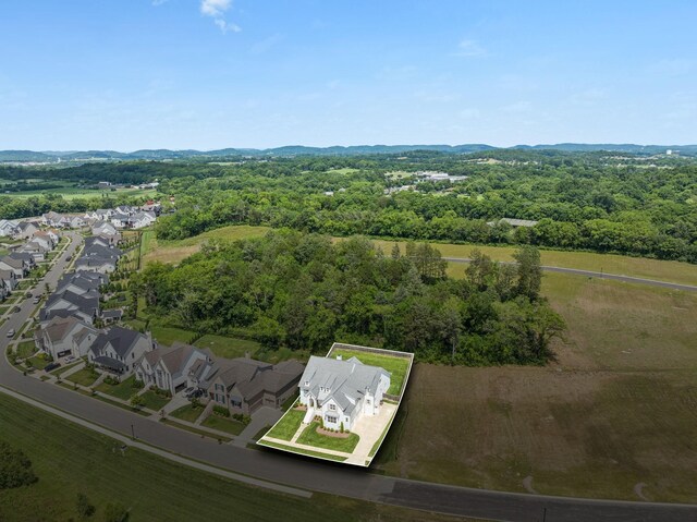 2274 Brakeman Ln, Thompsons Station, TN 37179 - photo 73