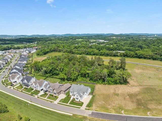 2274 Brakeman Ln, Thompsons Station, TN 37179 - photo 72