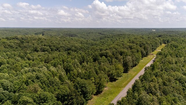 3 Brush Creek Rd, Lawrenceburg, TN 38464 - photo 11
