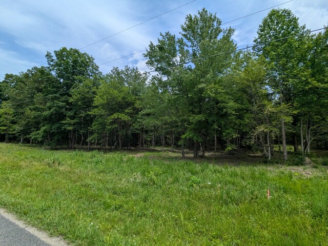 3 Brush Creek Rd, Lawrenceburg, TN 38464 - photo 8