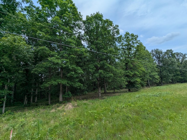 3 Brush Creek Rd, Lawrenceburg, TN 38464 - photo 4