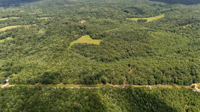 3 Brush Creek Rd, Lawrenceburg, TN 38464 - photo 21