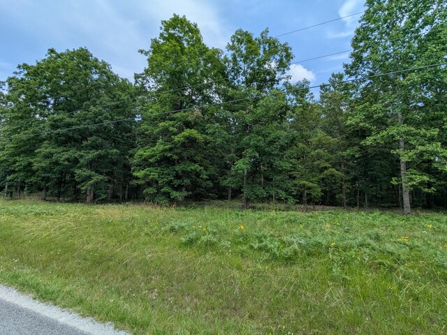 3 Brush Creek Rd, Lawrenceburg, TN 38464 - photo 3