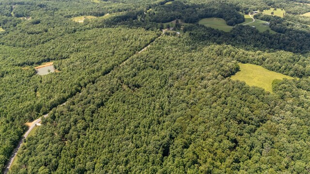 3 Brush Creek Rd, Lawrenceburg, TN 38464 - photo 16
