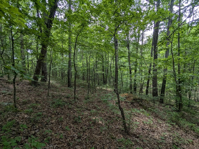 1 Brush Creek Rd, Lawrenceburg, TN 38464