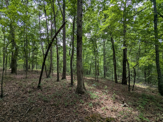 5 Brush Creek Rd, Lawrenceburg, TN 38464