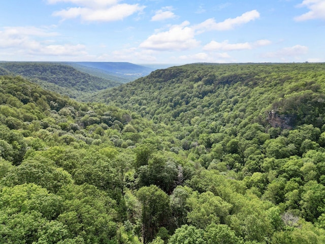 232 Hollingsworth Cove Rd, Monteagle, TN 37356 - view of mountain background with a forest