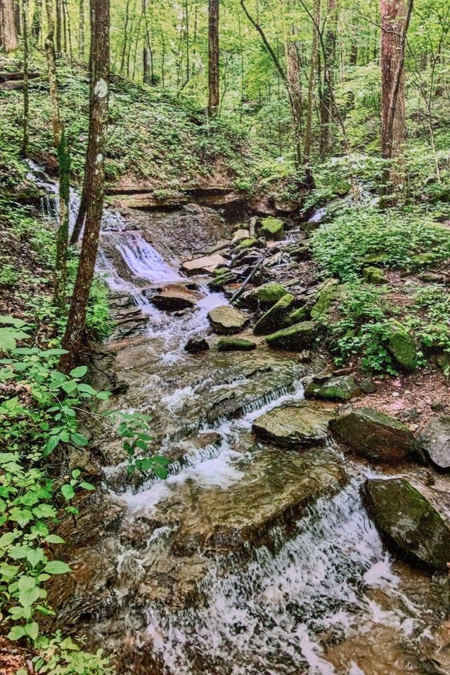 232 Hollingsworth Cove Rd, Monteagle, TN 37356 - view of local wilderness
